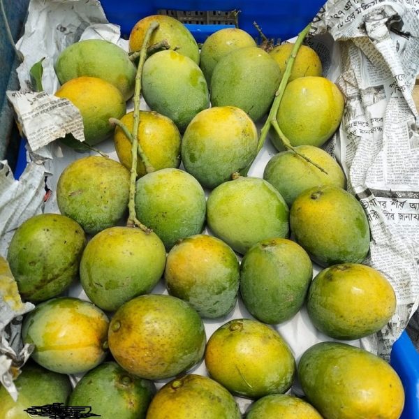হিমসাগর / খিরসাপাত ( ১০কেজি ) - Image 4